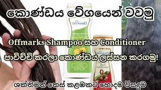 The Secret to Healthy & Thick Hair | Offmarks Shampoo & Conditioner Review@P&P_Journey_Of_Life