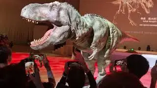 万博　福井恐竜ショー②