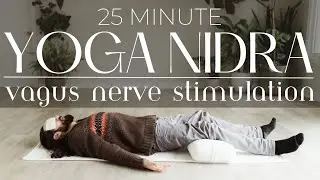 Guided Meditation for the Nervous System