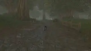 Azeroth Walking | Classic Era | ASMR | Stormwind to Ironforge