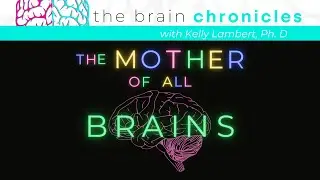 The Mother of All Brains