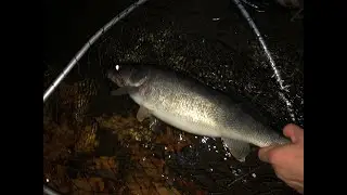 Fishing Pike, Trout, Crappie, & Big Walleye! (Chautauqua County)