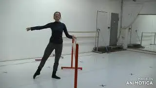 Exercice 1 // Ballett