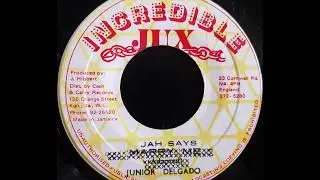 JUNIOR DELGADO - Jah Say