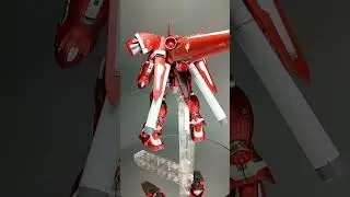 Gerbera Tetra HG custom