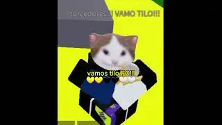 Nova contrata&ccedil;&atilde;o do tilo