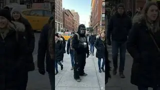 A City Declared War On Monkeys