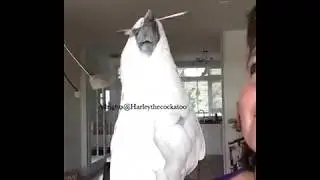 Twirling Mom&rsquo;s Coffeespoon