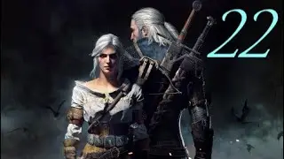 22. Du Gwynt, du chat et du cheval ! The Witcher 3 : Wild Hunt