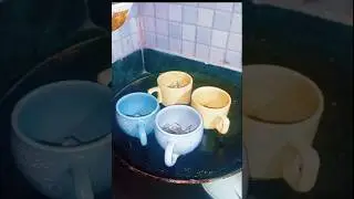 Вам следует знать эти лайфхаки #советыдлякухнинахинди #ytshorts #лайфхакидляуборки #shortsfeed
