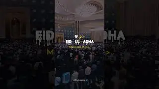 Eid Ul Adha Mubarak 4k Status Full Screen || Eid Mubarak WhatsApp Status || Baqra Eid Mubarak 🐏