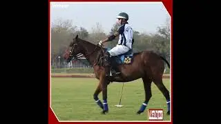 Practice and Warm-up Session before Polo Match | Wahjoc Sports