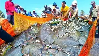 😱😮 full fishing process video - Sein net boat fishing video in Asia - Amazing net fishing video 