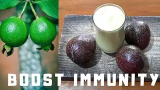 Boost Your Immunity with this Avocado Guava Smoothie Recipe! 🥑🍹