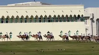 Guards ride their camels outside the Amiri Diwan in Doha, Qatar