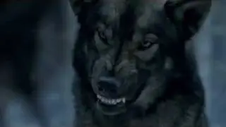 Down With The Sickness-Disturbed | Werewolf Tribute