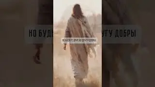 Всякое раздражение и ярость и гнев💥 #библия #bibel #bible #бог #bibelvers #germany #люди #германия