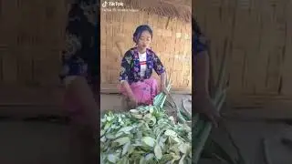 Nkj hmoob zoo nkj tsuav zaub npus
