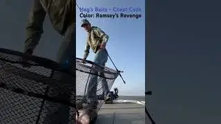 Big bass eats the Hag&rsquo;s Baits cheat code! ( 7.58 )
