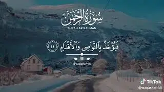 Surah Al Rehman  Beautiful Voice with Natural Beauty 