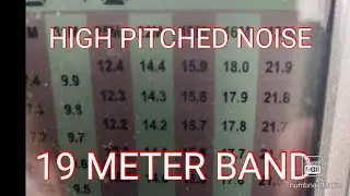 HIGH PITCHED NOISE ON THE 19 METER BAND