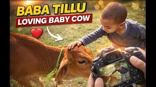 Baba Tillu Loving Baby Cow/Vlog185/@manishvlogs1912 