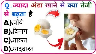 Top 20 Gk Question || Gk Question | General Knowledge || Gk Question And Answer || Gk Quiz || gk | 