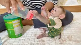 Baby DAM Moody Catch His Milk Bottle Storngly Refuse Mom Taking
