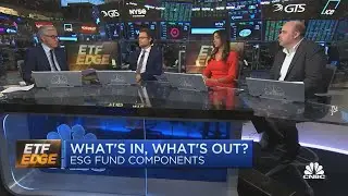 Profits vs. purpose: The ins and outs of ESG funds