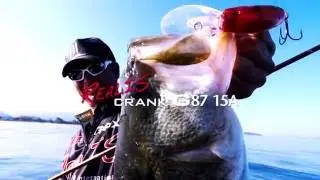 Biwa Chronicles: Getting Deep with Crank G87