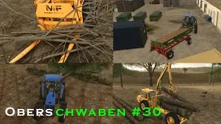 🇩🇪 Selling woodchips & logs, cutting trees, refill woodmill