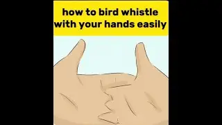 how to bird whistle with your hands easily ✅