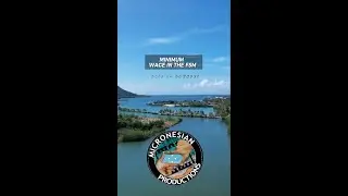 Minimum Wage FSM - Pohnpei