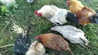 Vlogust Day 1