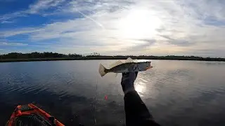 Crystal River Kayak Fishing The Nature Coast - Ozello, Florida  Salt River Back Country