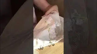 Sewing Edwardian Corset