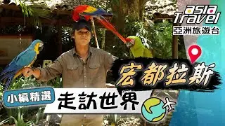 【宏都拉斯】首次考古神秘馬雅文明！科潘遺址「象形文字階梯」、國鳥「金剛鸚鵡」展翅、最道地宏都拉斯早餐「玉米餅」！｜Honduras／Mayan／Lago Yojoa｜#亞洲旅遊台 #廖科溢 #小編精選