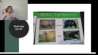 Diabetes reversal and health issues