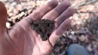 Found a 1800s coin plus a lot of relics metal detecting a mining camp.