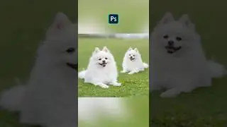 Tutorial on How to Apply the Clone Stamp Tool in Photoshop #photoshop #shortvideo #design