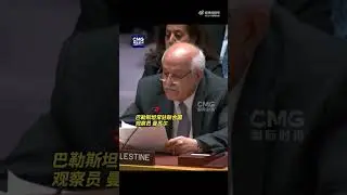 巴观察员呼吁某些国家别当以共犯Palestinian observer calls on some countries not to become accomplices