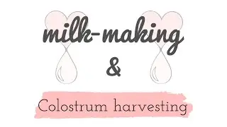HAAKAA colostrum collector kit