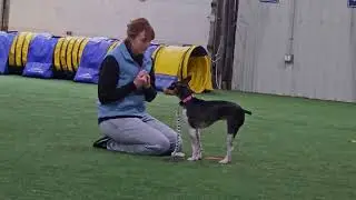 1/01 ring rental pattern games