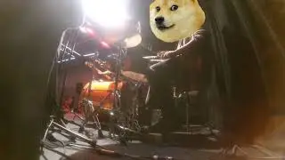 French Doge playing real drums (drum cam)