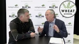 Wheat School: Growing 235-bushel winter wheat with U.K. farmer Mark Stubbs