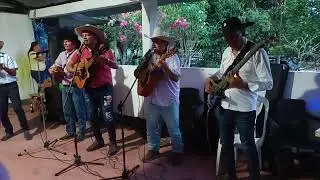 El coco de rosa Helena .parranda y són 🎸🪕🎧