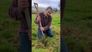 The simplest way to plant trees.