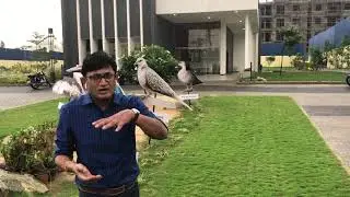 Sobha Lake Gardens Review