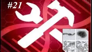 Bourbon Virus! Let's play: Plague Inc Evolved Custom Scenario