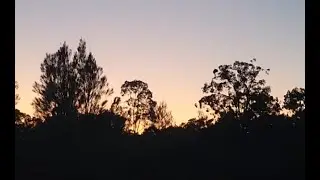 Australian Spring Sunrise with Outback Birdsong | Nature Ambience